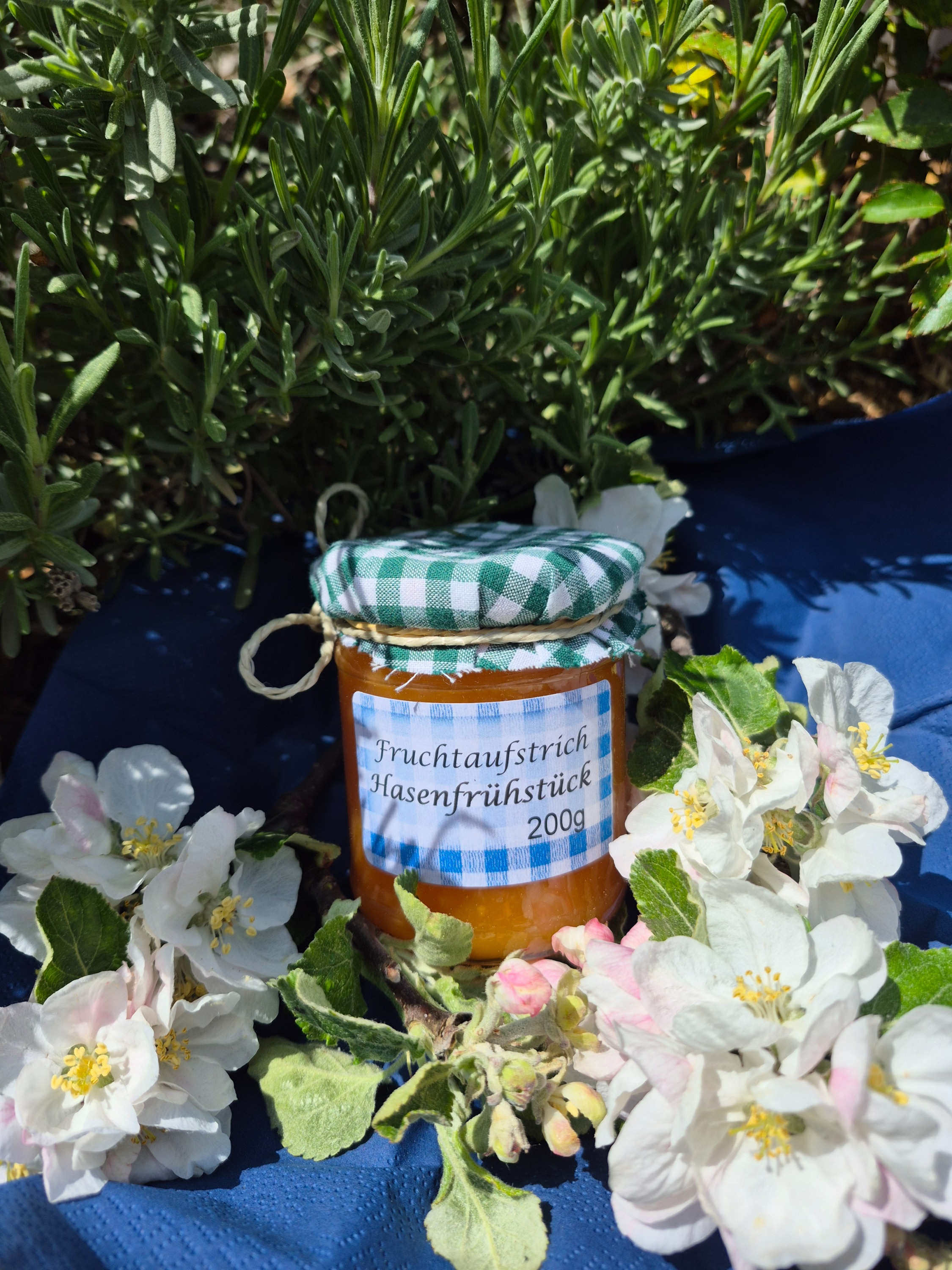 Himbeer Fruchtaufstrich im Glas